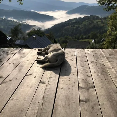 La Noi La Munte *